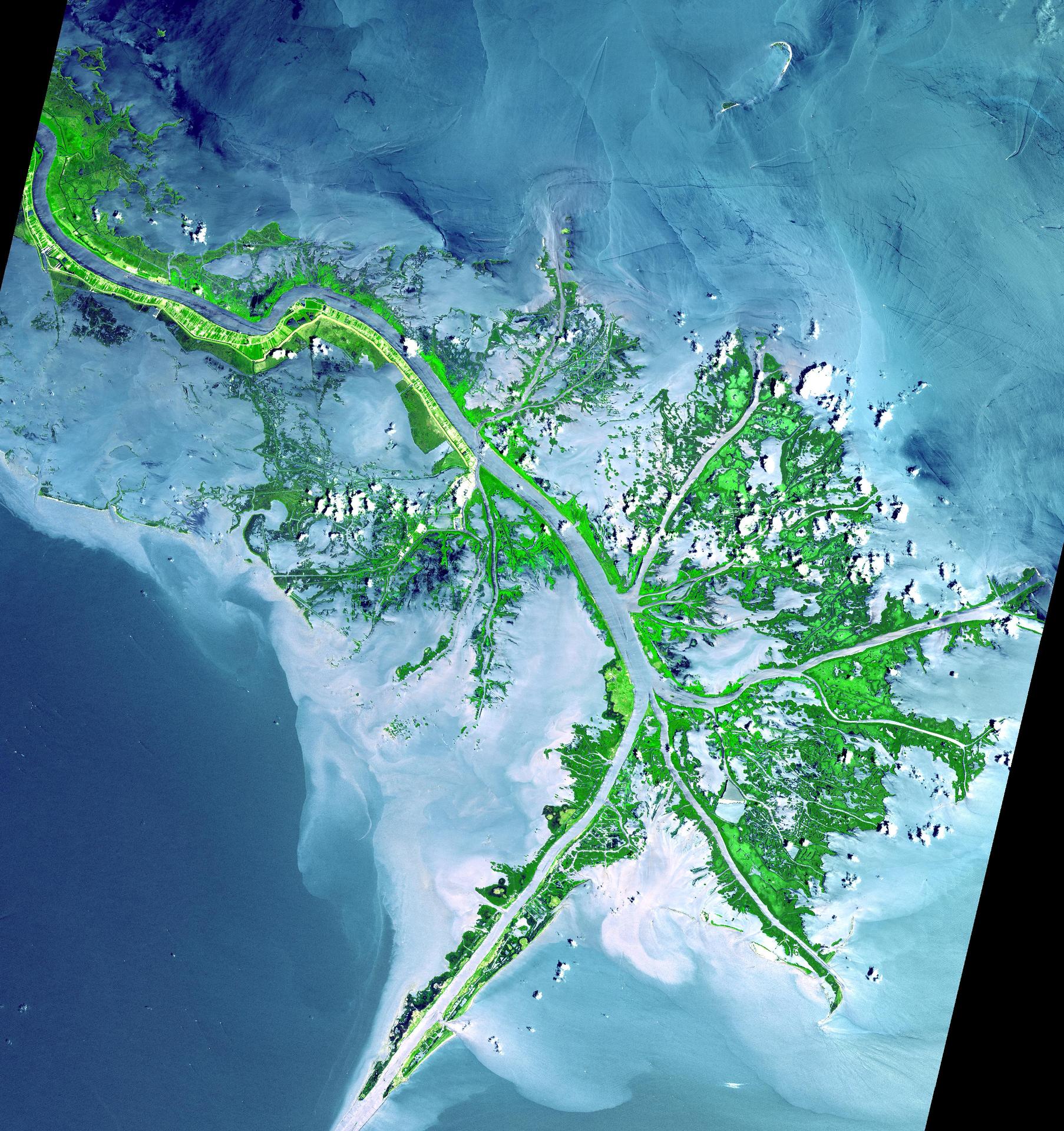 ASTER image of the Mississippi River Delta